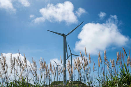Windmills in Quzhou Island, Zhoushanの写真素材
