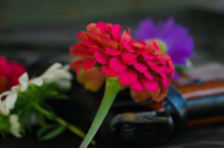 Gun and flowersの写真素材