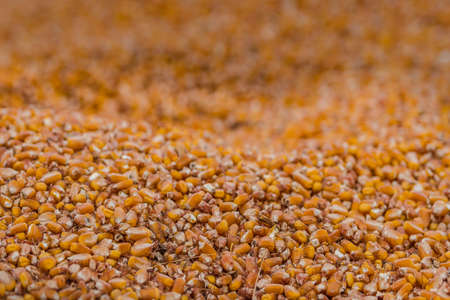 Corn kernels