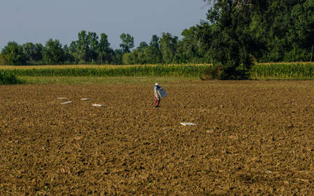 Seasonal women worker in agricultural production sector in Anatoliaの写真素材