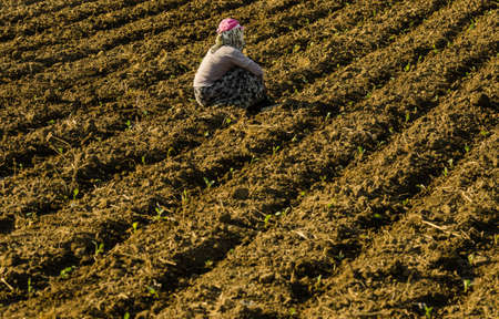 Seasonal women worker in agricultural production sector in Anatolia
