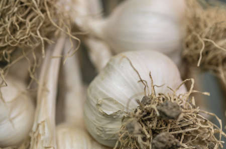 Hanged garlicsの写真素材