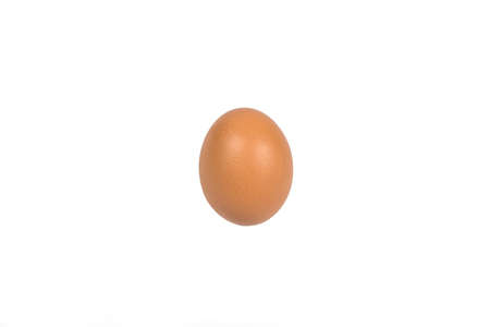 Egg isolated on white backgroundの写真素材