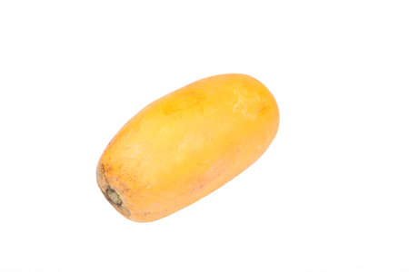 papaya on white backgroundの写真素材