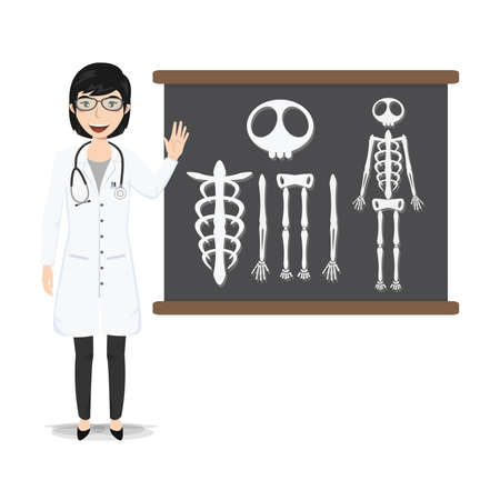 Doctor presenting skeleton on blackboard vector illustration.のイラスト素材