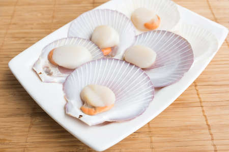 scallops