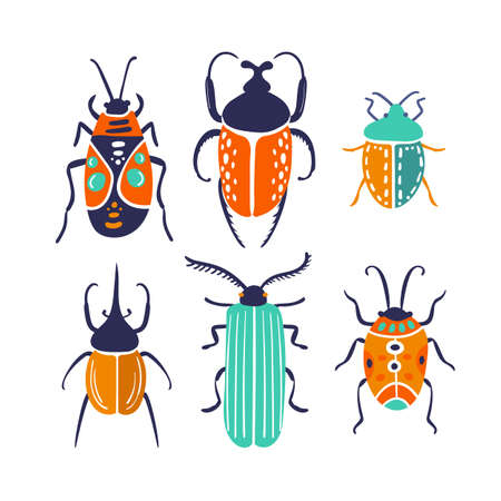 stylized insects set with colorful beetlesのイラスト素材