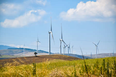 Grassy hill with wind turbines under a blue sky.