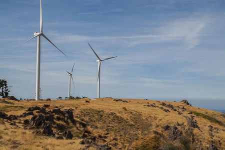 Wind mills on a hill in Portugal.のeditorial素材