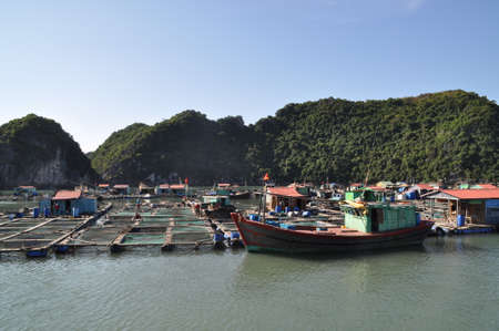 Floating village in Ha Long Bay, Vietnamのeditorial素材