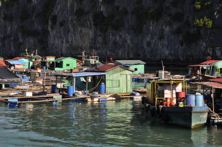 Floating village in Ha Long Bay, Vietnam.のeditorial素材