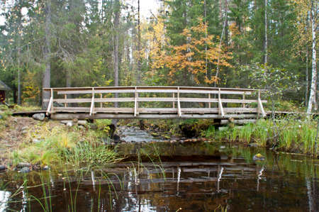 Nature in a national park in Finlandの写真素材