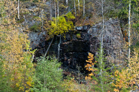 Small water fall in a national park in East Finlandの写真素材
