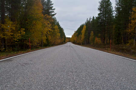 Empty road in the region of Kainuu, Finlandの写真素材