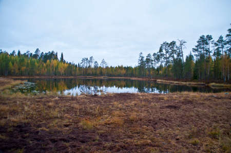 Nature in the region of Kainuu, Finlandの写真素材