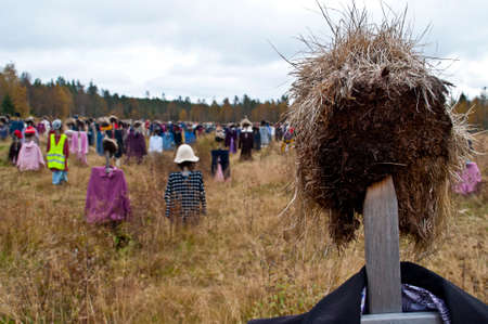 Art in a field in the region of Kainuu, Finlandの写真素材