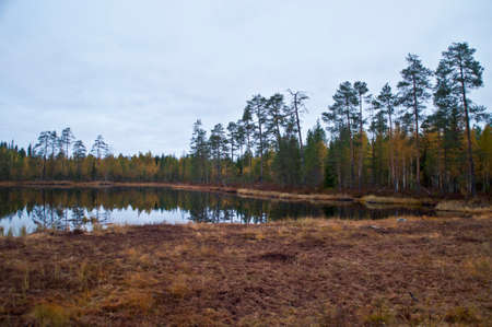 Nature in the region of Kainuu, Finlandの写真素材