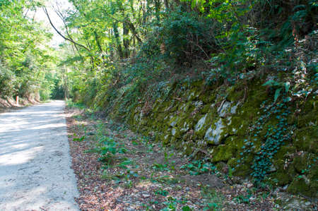 Abandoned train stop near the village of Royas, France.の写真素材