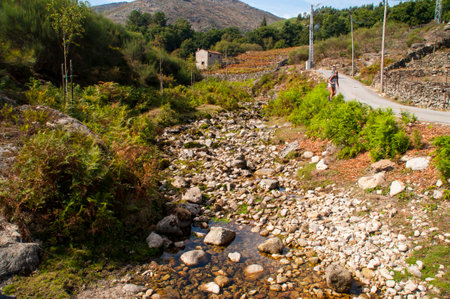 Dry river in the mountains in the north of Portugal.の写真素材