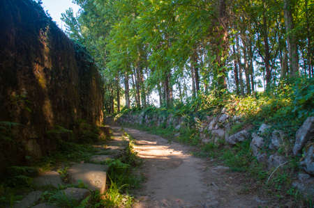Part of the Way of St. James to Santiago de Compostela in Portugal.の写真素材