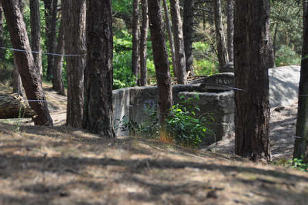 Old bunker on the island of Terschelling, The Netherlands.の写真素材