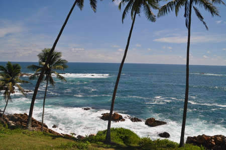 Coastal line near the city of Mirissa, Sri Lanka.の写真素材