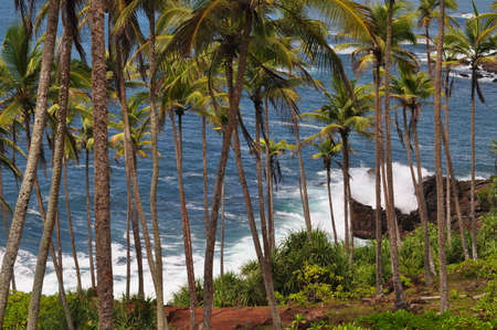 Coastal line near the city of Mirissa, Sri Lanka.の写真素材