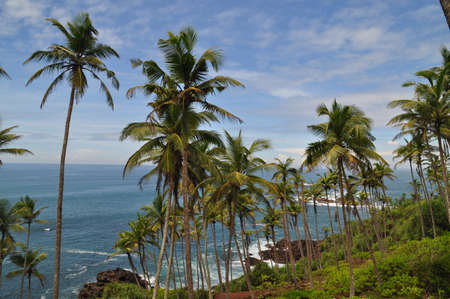 Coastal line near the city of Mirissa, Sri Lanka.の写真素材