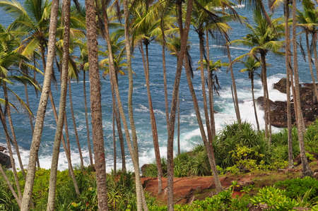 Coastal line near the city of Mirissa, Sri Lanka.の写真素材