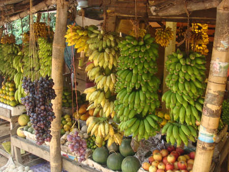 Fruit and vegetable stall in Sri Lanka.の写真素材
