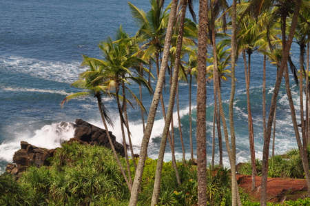 Coastal line near the city of Mirissa, Sri Lanka.の写真素材