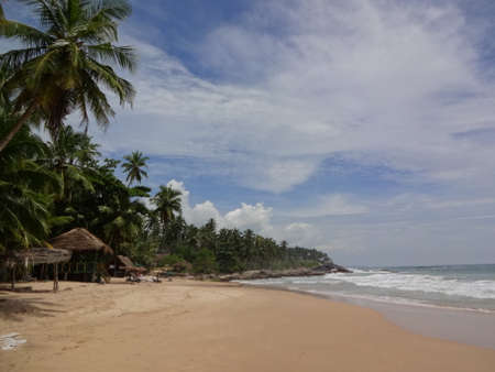 Golden beach near the city of Mirissa, Sri Lanka.の写真素材
