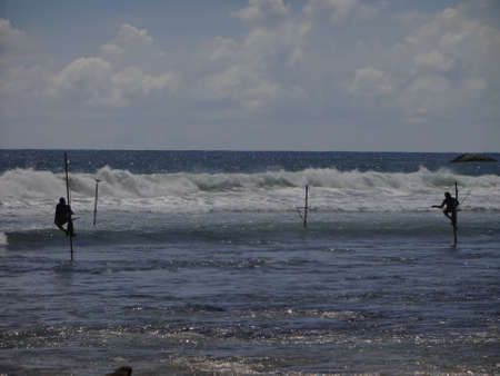 Stilt fishermen near the city of Galle, Sri Lanka.の写真素材