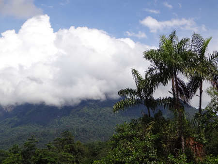 View from Ella Rock, Sri Lanka.の写真素材