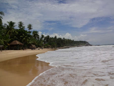 Golden beach near the city of Mirissa, Sri Lanka.の写真素材