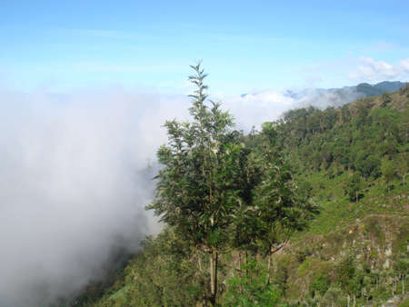 View around the city of Ella, Sri Lanka.の写真素材