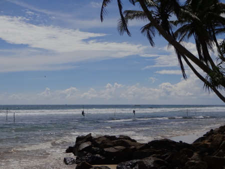 Stilt fishermen near the city of Galle, Sri Lanka.の写真素材