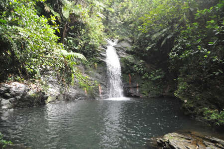 Waterfall in the Cockscomb Basin Wildlife Sanctuary in Belize.の写真素材