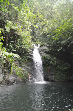 Waterfall in the Cockscomb Basin Wildlife Sanctuary in Belize.の写真素材
