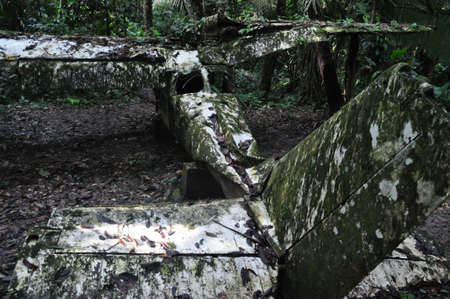 Waterfall in the Cockscomb Basin Wildlife Sanctuary in Belize.の写真素材