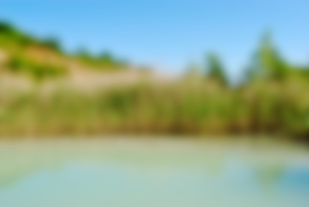 Nature park with pond and reed, blur backgroundの写真素材