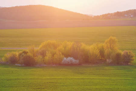 Evening landscape with warm vintage filterの写真素材