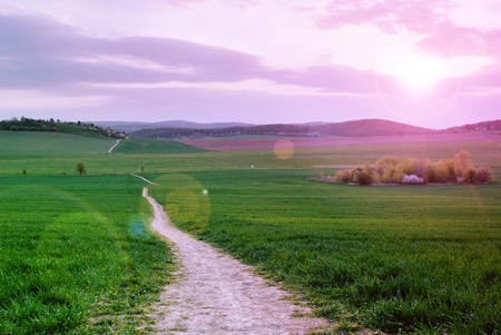 Sunset over the green field with a path leading to the horizon, purple filter and lens flareの写真素材