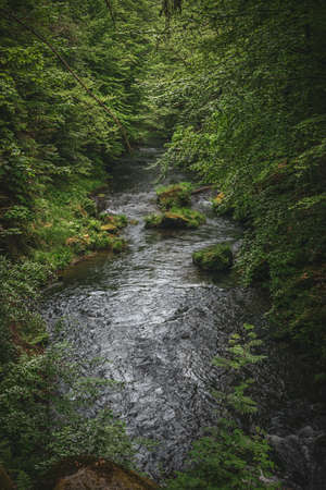 Beautiful river in the forest, Kamenice river, Hrenskoの写真素材