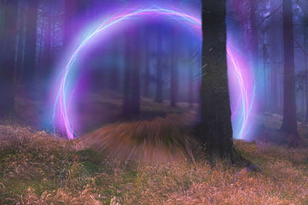 Neon portal in the foggy forest, magical eveningの写真素材