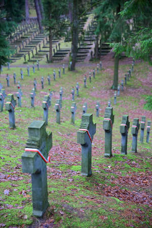 VILNIUS, LITHUANIA - DECEMBER 31, 2016: Antakalnis Cemetery with Polish soldiers' graveyardのeditorial素材
