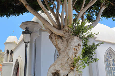 AGULO, LA GOMERA, SPAIN: Church de San Marcos inside the village of Aguloの写真素材