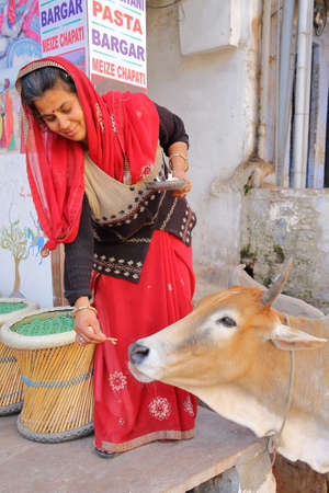BUNDI, RAJASTHAN, INDIA - DECEMBER 10, 2017: A woman feeding a holy cow in the streets outside her shopのeditorial素材