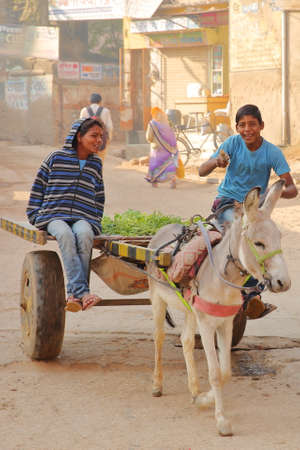 NAWALGARH, RAJASTHAN, INDIA - DECEMBER 28, 2017: Street scene with two young teenage boys riding a donkey on a carriage in the streets of Nawalgarhのeditorial素材