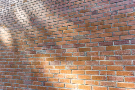 shadow on the brick wall perspective view, abstrack texture background image red brick , no people
